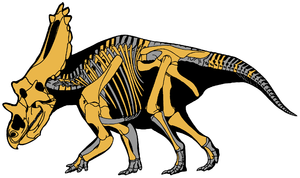 Utahceratops gettyi, Skelettrekonstruktion und Körperumriss. Ockerfarben die aufgefundenen Bestandteile des Skeletts.