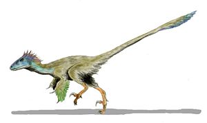 Utahraptor ostrommaysorum, ein Dromaeosaurier aus der Unterkreide Nordamerikas
