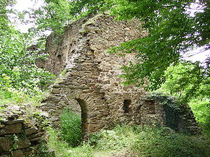 Ruine der Burg Vikštejn