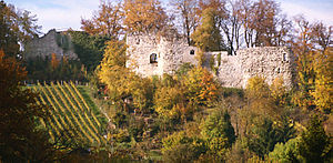 Ruine der vorderen Wartenberg (2009)