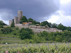 Die Ruine Wachtenburg