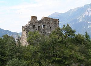 Ruine der Burg Wartenstein