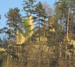 Die heutige Ruine der Burg Wehrstein, Blick von Fischingen (2005)
