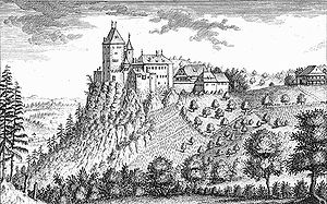 Schloss Wildenstein 1758, Stich von David Herrliberger
