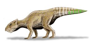 Rekonstruktion von Yamaceratops