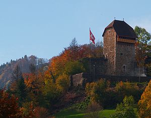 Ruine Iberg von Nordosten