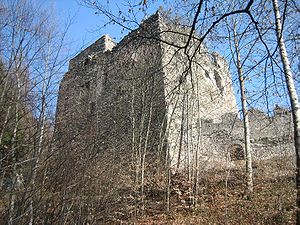 Palas der Burg Neu-Aspermont von Westen
