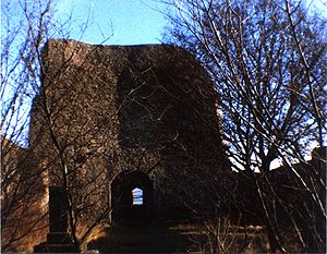 Michelsburg im Jahr 1983