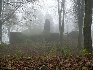 Die Burg Kranzberg an einem nebeligen Novembermorgen