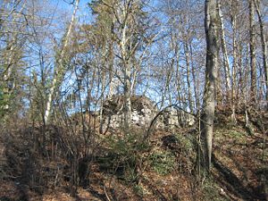Ruinen der Uznaburg