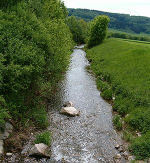 Der Klingengraben knapp einen Kilometer oberhalb des Zusammenflusses mit dem Schwarzbach