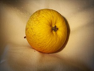 Schweizer Orangenapfel leicht verschrumpelt von oben (Panorama).jpg