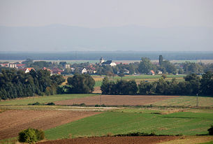 Weikersdorf am Steinfelde