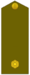 ES-Army-OF1c.gif