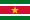 Die Nationalflagge Surinames