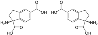 Struktur von Aminodihydroindendicarbonsäure