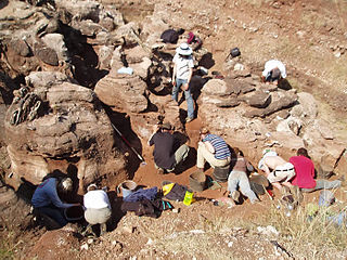 Ausgrabungen vor dem Höhleneingang
