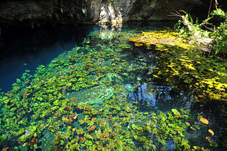 Grand Cenote: Ausgangspunkt der Erforschung