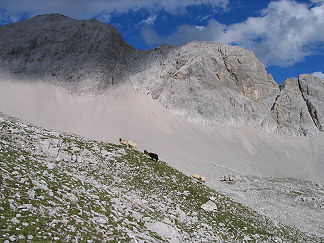 Ostflanke der Moserkarspitze aus dem oberen Moserkar