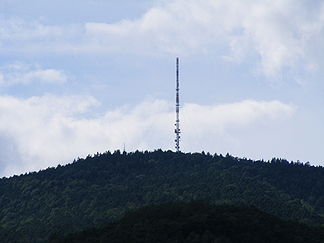 Weinbiet von Mußbach aus, Panoramaturm (links, mit kleiner Antenne) fast gänzlich von Bäumen verdeckt (Aufnahme 2008)