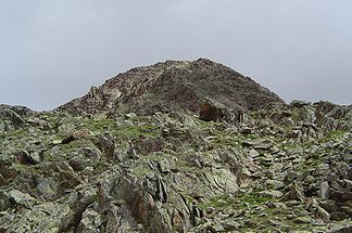 Gipfel Wildes Mannle (südlicher Aufstieg)