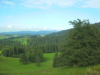 Blick vom Nordosthang des Laubenbergs über das Eistobeltalund Gemeindegebiet von Maierhöfen nordostwärts zur Adelegg