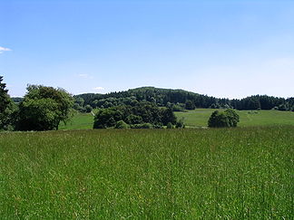 Der Altenberg von Westen