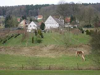Südseite des Urbergs mit Pferdekoppel, Baumschule Bentrup und Jägerhof, Blick von der Holperdorper Straße (Kreisstraße 30)