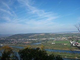 Blick vom Leopoldsberg über die Donau auf den Bisamberg