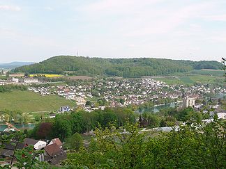 Blick auf den Cholfirst von Neuhausen am Rheinfall mit Rhein und Flurlingen