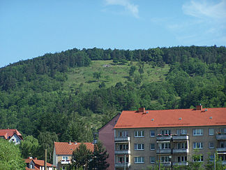 Blick zum Wisch mit der Kossenhaschen-Gruft