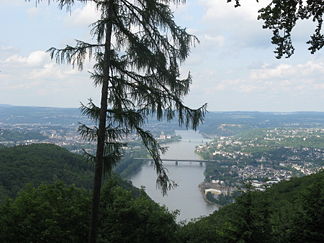 Der Dommelberg (links), gesehen von der Schwerinerhütte im Koblenzer Stadtwald, mit dem Rhein und der Stadt Koblenz