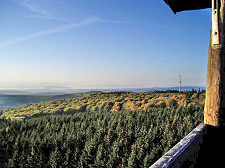 Blick vom Salzkopfturm über den Binger Wald nach Süden