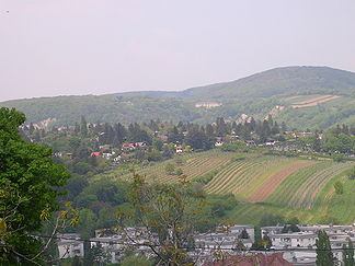 Der Hackenberg mit seinen Schreber- und Weingärten gesehen vom Dr.-Meißner-Park