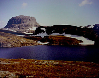 Hårteigen