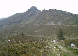 Hochwaidkopf von Nordosten