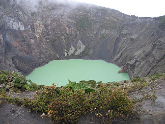 Vulkan Irazú mit Säuresee und Gunnera insignis am Kraterrand