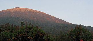 Vulkan Karisimbi vom Vulkan Visoke aus gesehen