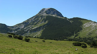 Der Hochstadl, höchster Gipfel der Kräuterin, vom Nordosten gesehen.