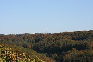 Blick von der Kohlebene bei Farnersberg in Richtung Ostsüdosten zum Stocksberg