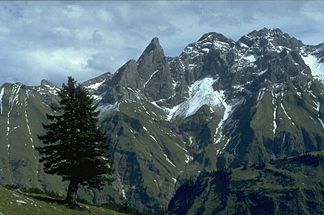Habaum (der Rücken im Bild unten rechts) vom Taufersberg. Felsberge von links: Trettachspitze, Mädelegabel, Hochfrottspitze