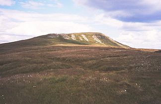 Westseite des Mickle Fell