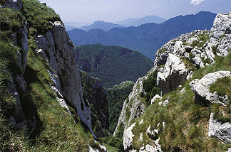 Monte Picentini