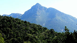 Mount Wrightson Santa Rita Mountains 102561.jpg
