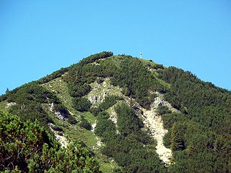Gipfel des Ochsenälpeleskopf von der Südflanke aus