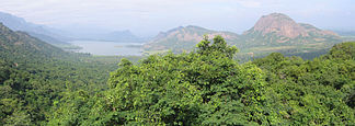 Palani-Berge in der Nähe von Kodaikanal