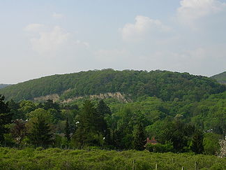 Der Pfaffenberg, gesehen vom Hackenberg