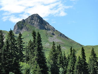 Regenboldshorn von Geils aus