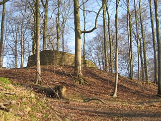Reste der Burg Rodenberg