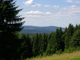 Blick vom Kalten Staudenkopf (768 m) auf den Großen (944 m, halbrechts) und den Kleinen (875 m, rechts) Finsterberg. Halblinks der Schneekopf (978 m) mit seinen Nebengipfeln Teufelskreise (967 m, davor) mit Schmücke (knapp unterhalb, Wiese) und Fichtenkopf (944 m, links davon). Die Wiese darunter liegt am Fuße des Großen Eisenberges (907 m, nach links verdeckt). Im mittleren Vordergrund der Volkmarskopf (726 m).